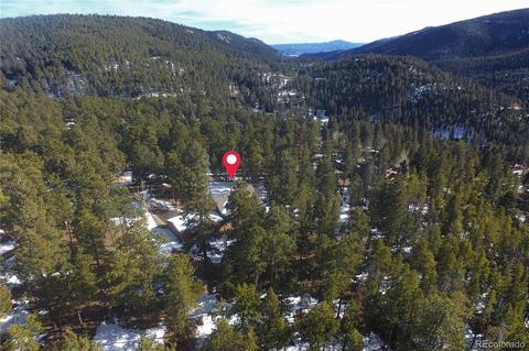 23891 Black Bear Trl, Conifer, CO 80433 photo 29