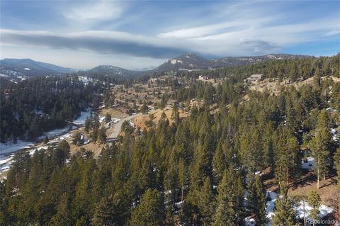 23891 Black Bear Trl, Conifer, CO 80433 photo 30