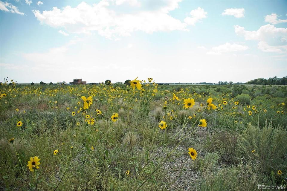  436 Red Cloud Trl, Crestone, CO 81131 photo 5