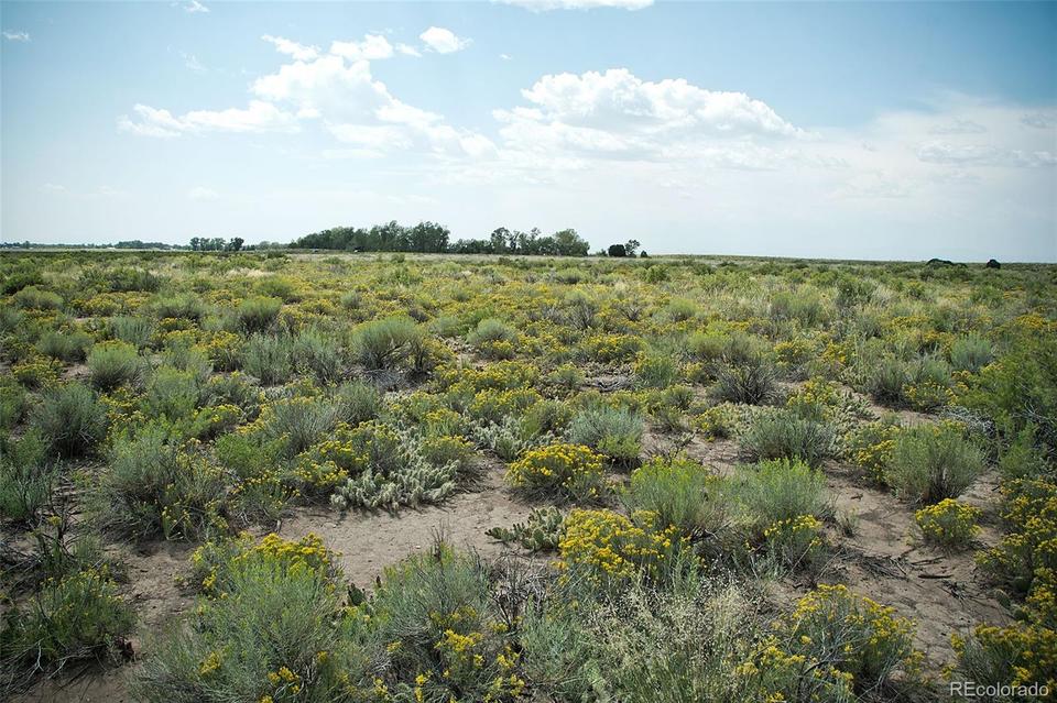  436 Red Cloud Trl, Crestone, CO 81131 photo 8