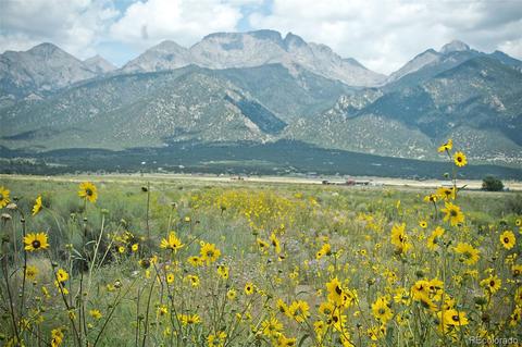 436 Red Cloud Trl, Crestone, CO 81131