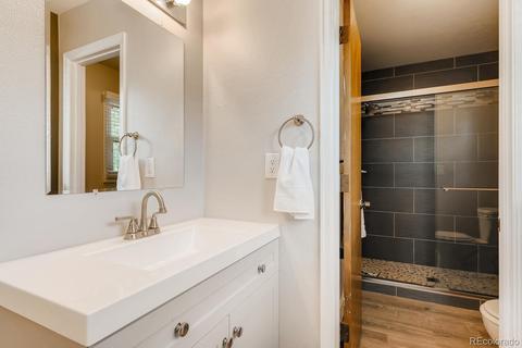 891 Eudora St, Denver, CO 80220 photo 20