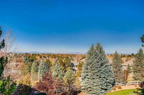 9155 E Star Hill Trl, Lone Tree, CO 80124 photo 36