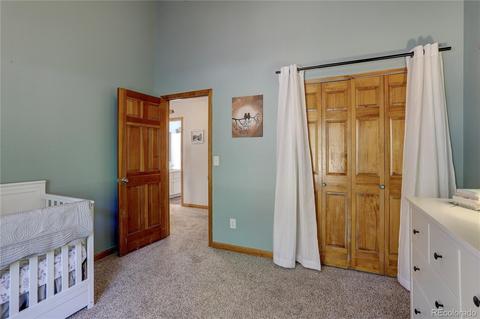 84 S Laura Ave, Pine, CO 80470 photo 17