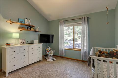 84 S Laura Ave, Pine, CO 80470 photo 16