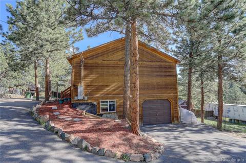 84 S Laura Ave, Pine, CO 80470 photo 27