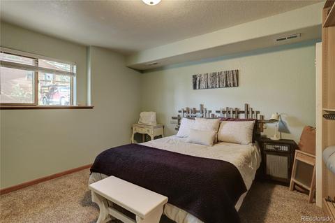 84 S Laura Ave, Pine, CO 80470 photo 22