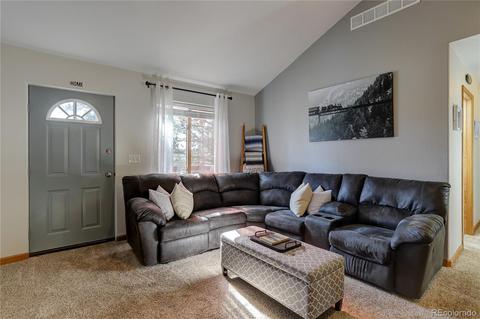 84 S Laura Ave, Pine, CO 80470 photo 10