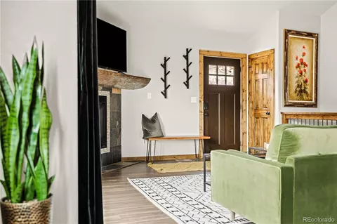 202 Virginia Rd, Bailey, CO 80421 photo 10