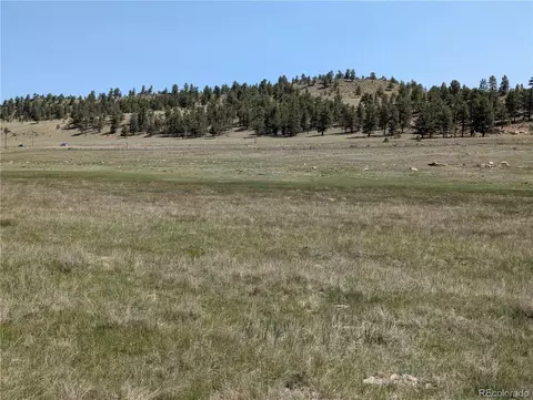 Co-9, Hartsel, CO 80449 photo 21