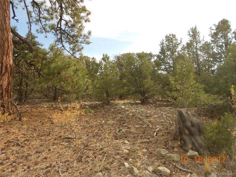 77 Mill Run Rd, Mosca, CO 81146 photo 3
