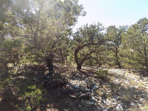 77 Mill Run Rd, Mosca, CO 81146 photo 16