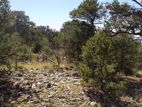 77 Mill Run Rd, Mosca, CO 81146 photo 18