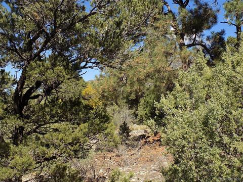 77 Mill Run Rd, Mosca, CO 81146 photo 17