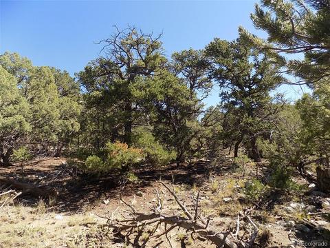 77 Mill Run Rd, Mosca, CO 81146 photo 13