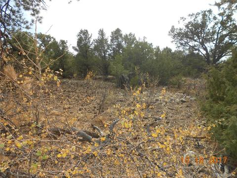 77 Mill Run Rd, Mosca, CO 81146 photo 2