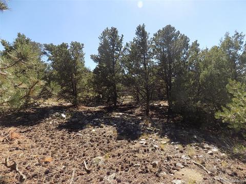 77 Mill Run Rd, Mosca, CO 81146 photo 10