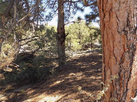 77 Mill Run Rd, Mosca, CO 81146 photo 11