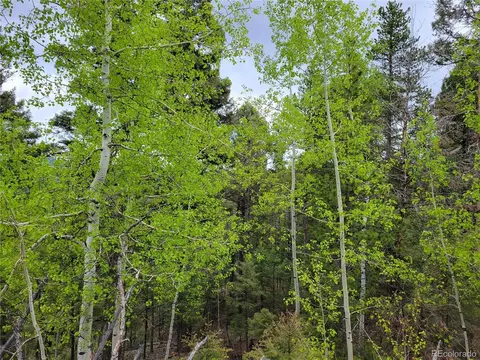 25077 Red Cloud Dr, Conifer, CO 80433 photo 29