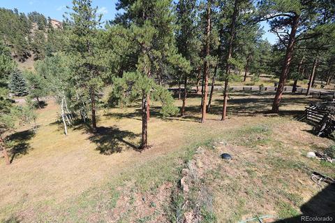 31264 Evans View Ln, Pine, CO 80470 photo 27