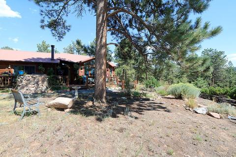 31264 Evans View Ln, Pine, CO 80470 photo 23