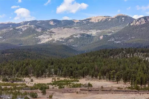 Other - 106 Elk Dr, Bailey, CO 80421 photo 14 of 16