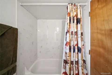 Bath - 106 Elk Dr, Bailey, CO 80421 photo 2 of 2