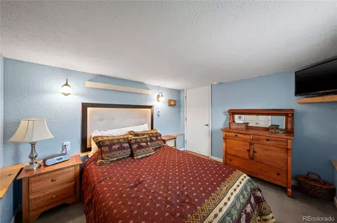 Bedroom - 106 Elk Dr, Bailey, CO 80421 photo 3 of 3