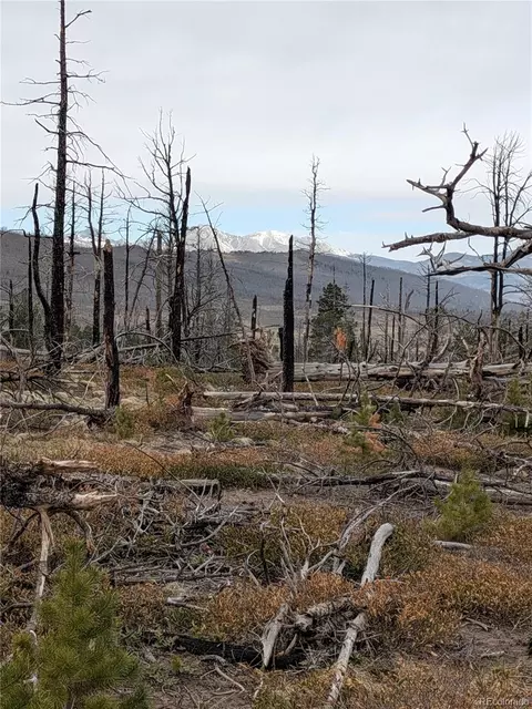 lot2301 Wohlstetter Loop, Fort Garland, CO 81133