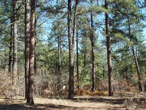 636 Poncho Rd, Larkspur, CO 80118