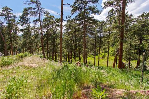 26995 Berrian Trl, Conifer, CO 80433 photo 35