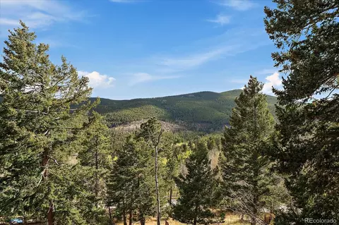 81 Raccoon Cir, Evergreen, CO 80439