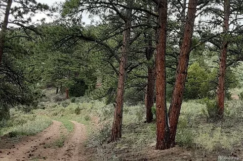 000 Cutter Trl, Oak Creek, CO 80467