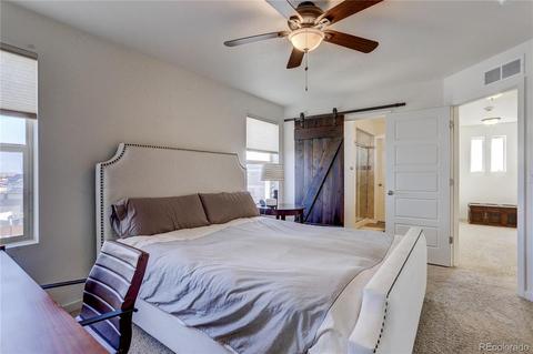 18671 E 50th Pl, Denver, CO 80249 photo 16