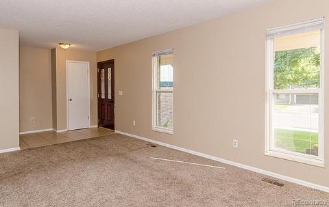 4665 S Union St, Morrison, CO 80465 photo 3