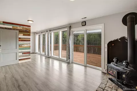 232 Starview Trl, Divide, CO 80814 photo 29