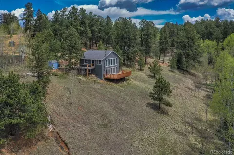 232 Starview Trl, Divide, CO 80814 photo 9