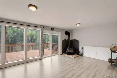 232 Starview Trl, Divide, CO 80814 photo 32