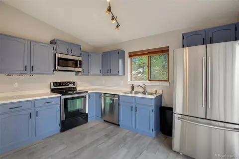 232 Starview Trl, Divide, CO 80814 photo 18