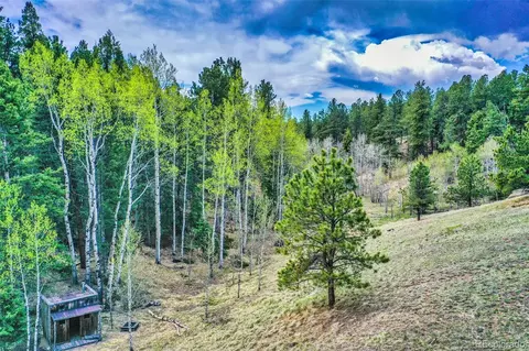 232 Starview Trl, Divide, CO 80814 photo 6