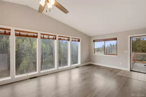 232 Starview Trl, Divide, CO 80814 photo 17
