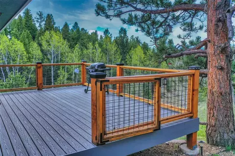 232 Starview Trl, Divide, CO 80814 photo 12