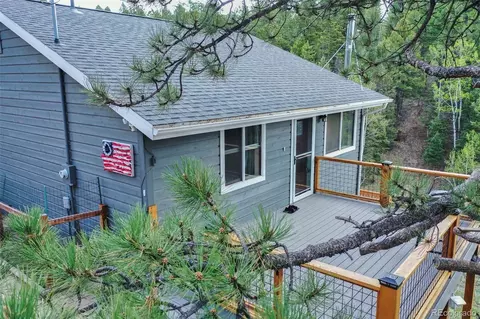 232 Starview Trl, Divide, CO 80814 photo 4
