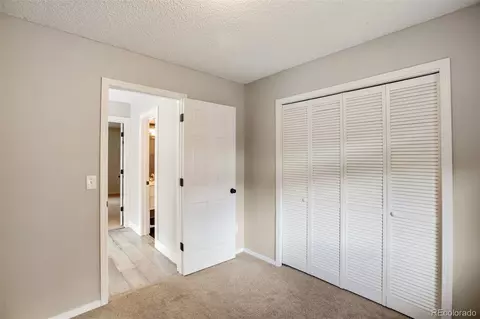 232 Starview Trl, Divide, CO 80814 photo 23
