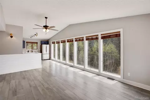 232 Starview Trl, Divide, CO 80814 photo 14