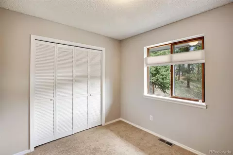 232 Starview Trl, Divide, CO 80814 photo 24