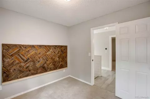 232 Starview Trl, Divide, CO 80814 photo 21