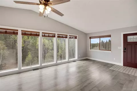 232 Starview Trl, Divide, CO 80814 photo 13