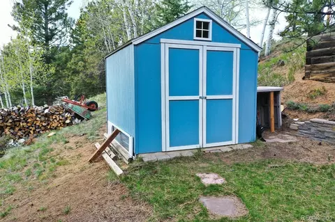 232 Starview Trl, Divide, CO 80814 photo 50