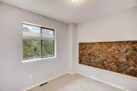 232 Starview Trl, Divide, CO 80814 photo 22